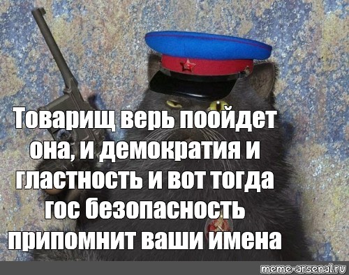 Вашему товарищу. Товарищ верь. И вот тогда госбезопасность припомнит ваши имена. Кот НКВД. Товарищ верь пройдет она.