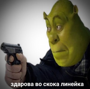 Create meme: memes, my wall protects Shrek, Shrek