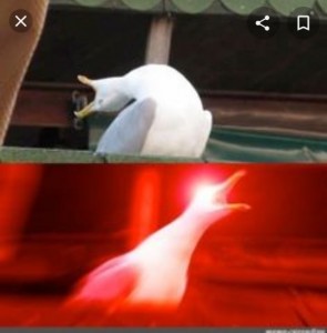 Create meme: screaming Seagull meme, meme Seagull deep breath, Seagull meme