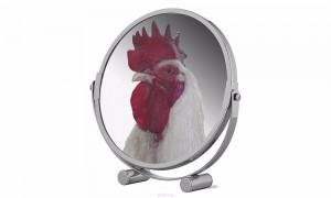 Create meme: chicken know cock know, mirror, in the mirror cock cock mirror of truth