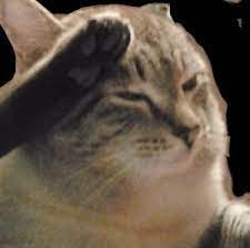 Create meme: press f to pay respect cat, cat salutes, cat
