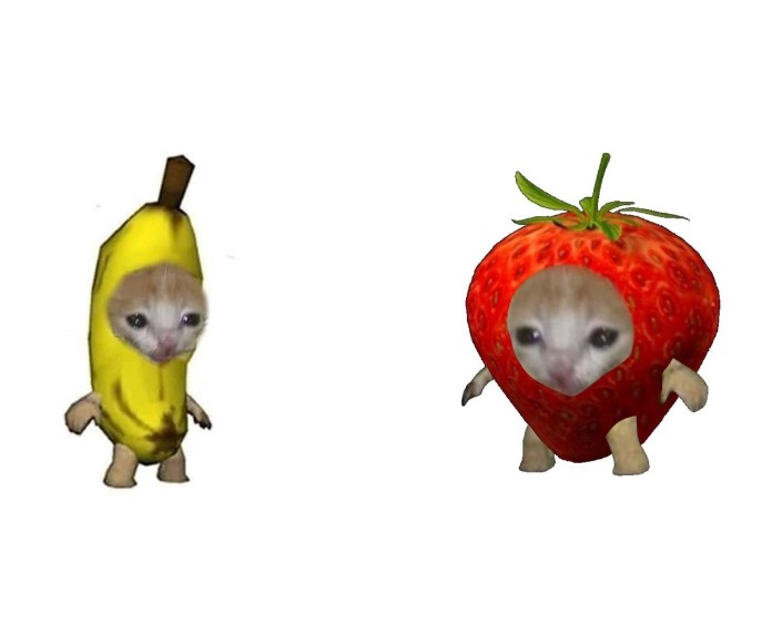 Create meme: cat apple meme, ripe strawberries, banana cat