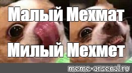 Create meme: null