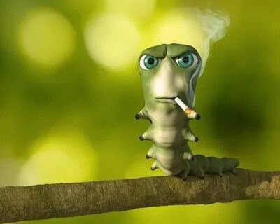 Создать мем: червяк с сигаретой, гусеница прикол, гусеница мем