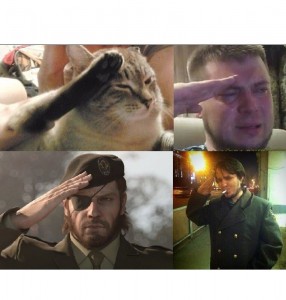 Create meme: cat salutes meme, photo salute meme, f to pay respect meme