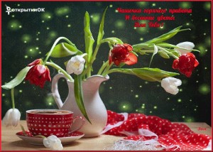 Создать мем: красивые цветы, открытки доброе утро, прекрасного дня весна цветы