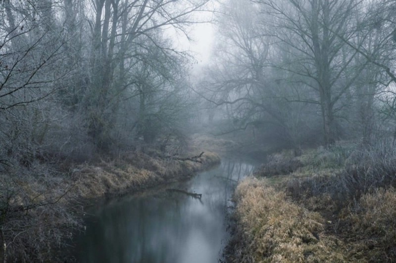 Create meme: autumn fog, nature , nature river