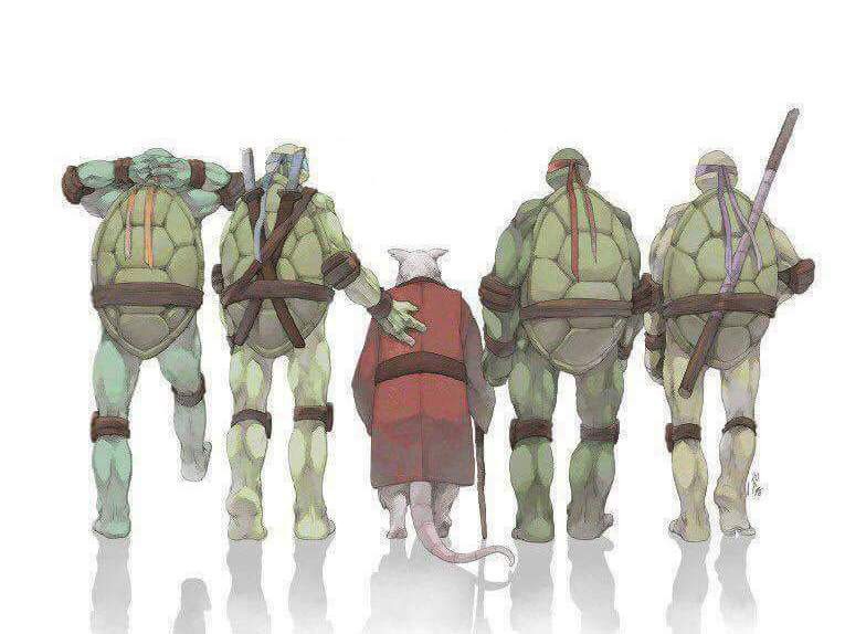 Create meme: names of ninja turtles, splinter and the turtles, characters teenage mutant ninja turtles