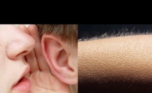 Create meme: goose bumps, ear, meme whisper in my ear