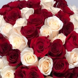 Create meme: bouquet of 51 roses, red white roses