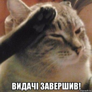 Create meme: cat salutes, cat, cat paw meme