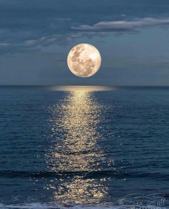 Create meme: lunar, the full moon the sea is restless it is true, moonlight by the sea photos