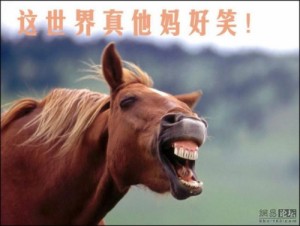 Create meme: funny pets, a horse, funny horse