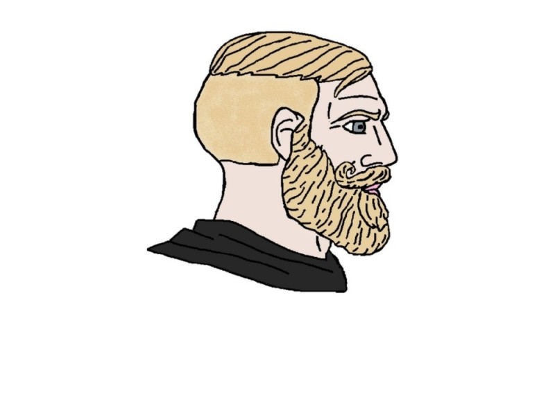 Create meme: bearded meme , a meme with a beard, a man with a beard meme