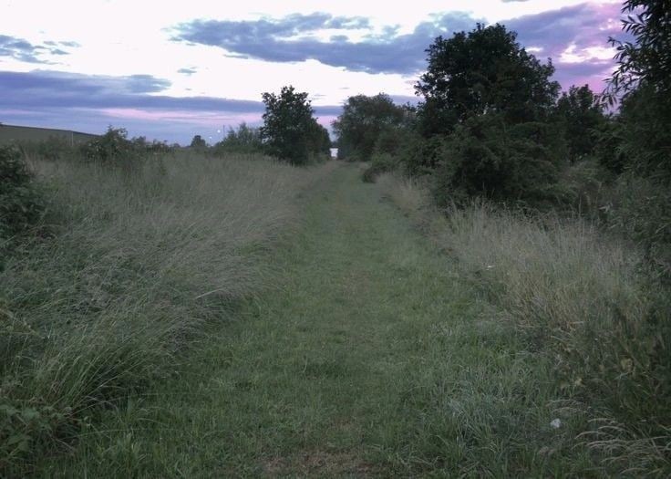 Create meme: country road, village road, the bosom of nature