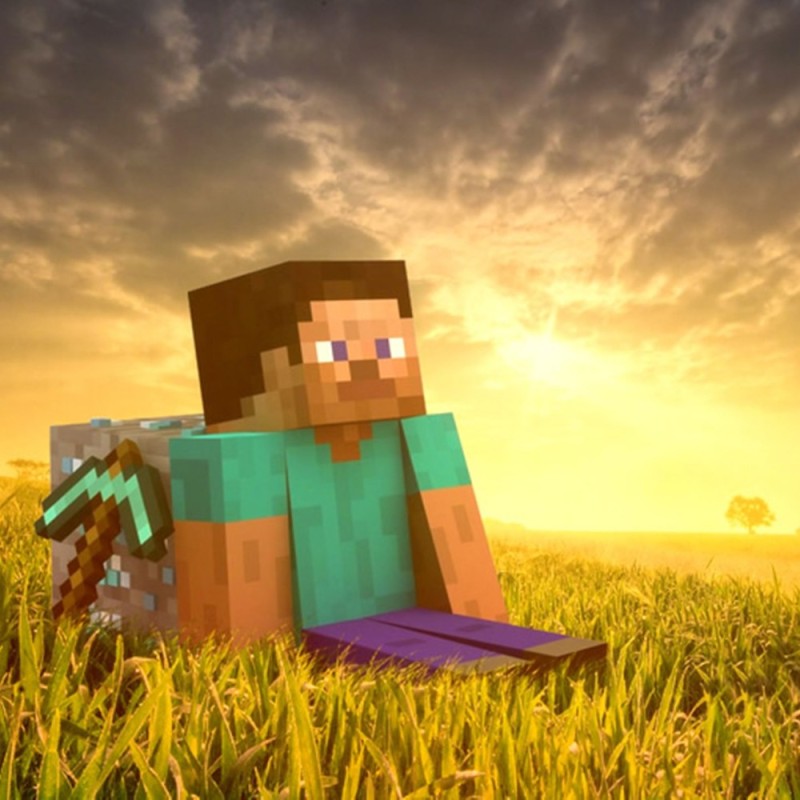 Create meme: steve from minecraft, steve in minecraft, Steve is sitting in a minecraft field