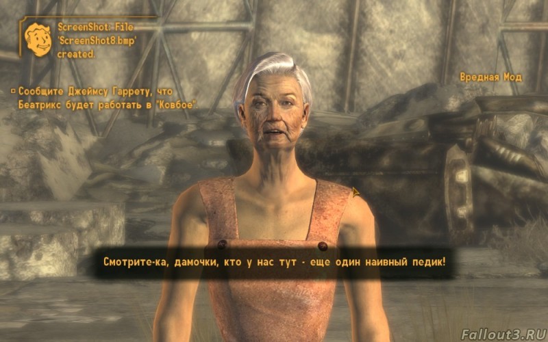 Create meme: fallout 3 memes, Veronica Fallout, new vegas fallout