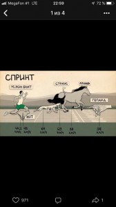 Create meme: speed, Usain bolt speed compared to the Cheetah, speed of humans and animals