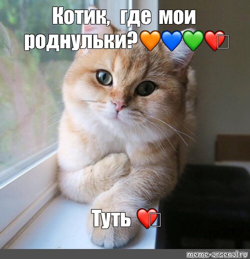 Туть котик картинка