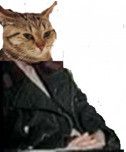 Create meme: cat, Mashka epitaxy