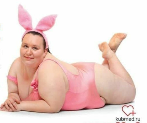 Create meme: pig in a bra, fat girl in bunny costume, the woman is fat