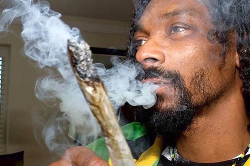 Create meme: Snoop Dogg smokes, Snoop Dogg with grass, Snoop Dogg 