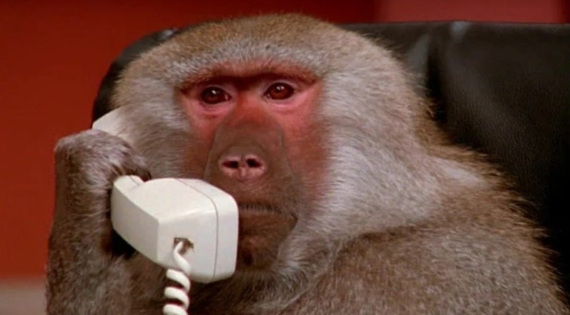 Create meme: monkey with an iphone, A macaque with a phone, a monkey with a phone