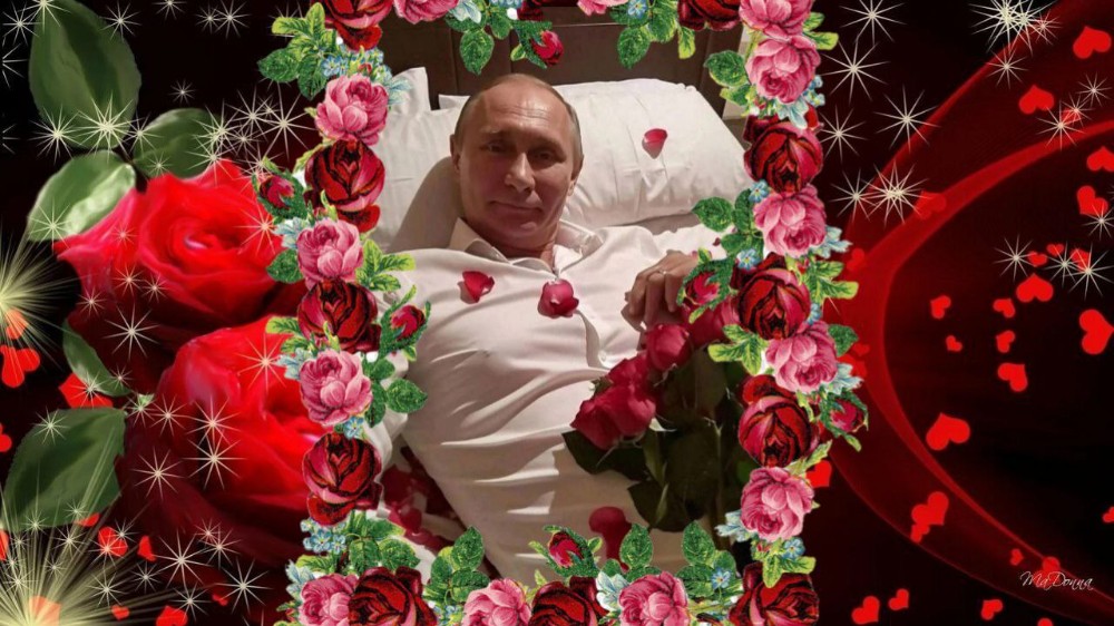 Create meme: the background is red, shimmering flowers, flowers futage
