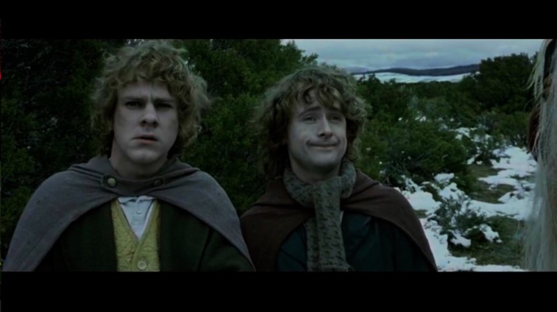 Create meme: Merry the lord of the rings, Pippin Lord of the rings, the Lord of the rings the hobbit