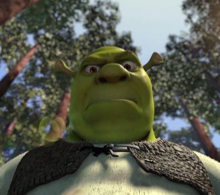 Create meme: Shrek from the cartoon, Shrek the ogre, shrek cartoon