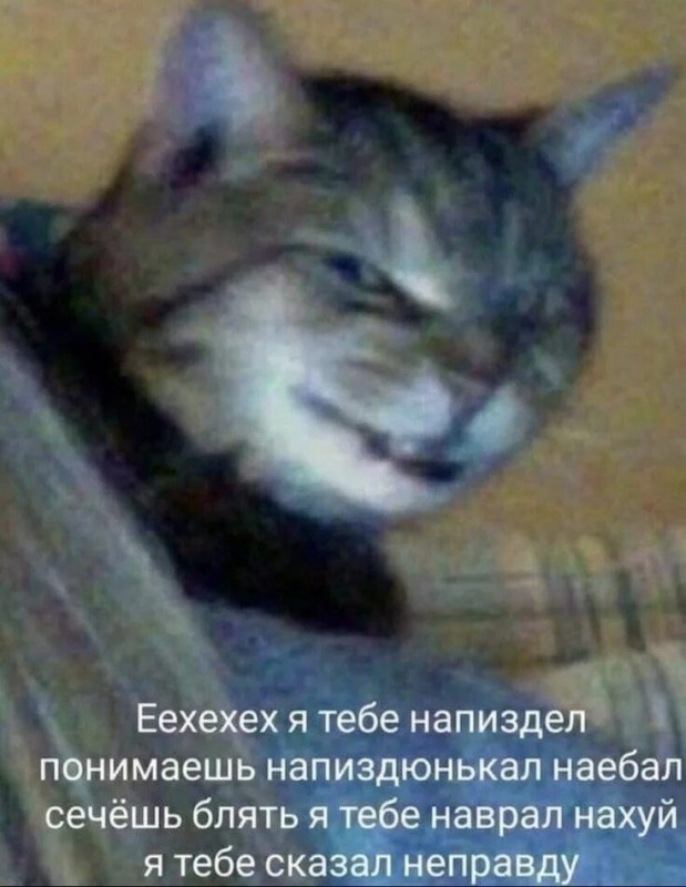 Create meme: Cat I told you a lie, I've been messing with you you know, I've written to you