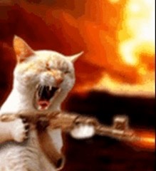Создать мем: бешеный кот, кот стреляет из автомата, кот с автоматом