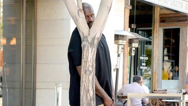 Create meme: Shaquille oneal tree, nigger behind the tree, funny jokes