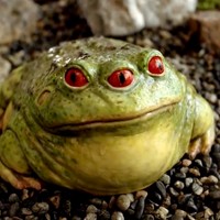 Create meme: toad , big frog, earthen toad