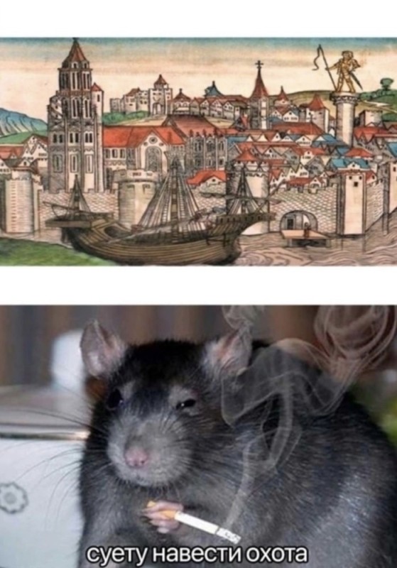 Create meme: rat rat, a rat with a cigarette, rats