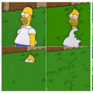 Create meme: the simpsons, meme of the simpsons, Homer in the bushes