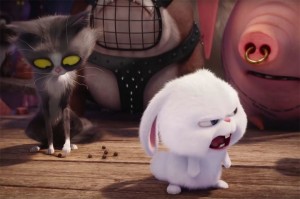 Create meme: the secret life of Pets 2016 cartoon rabbit, the secret life of Pets 2016 cartoon hamster, the secret life of Pets rabbit photo