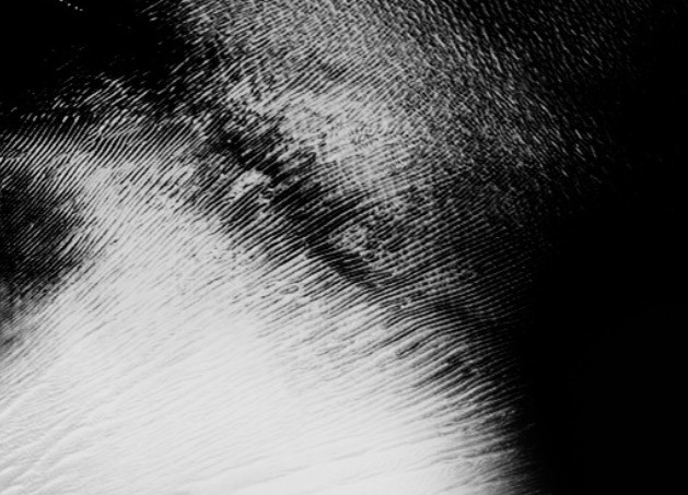 scratched grunge texture black and white