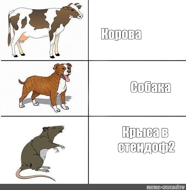 Корова мем