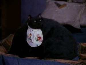 Create meme: Salem saberhagen