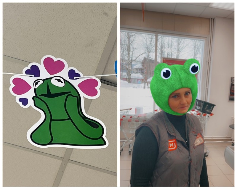 Create meme: frog hat, The frog cap, frog costume