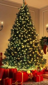 Create meme: Christmas tree, Christmas tree, beautiful Christmas tree