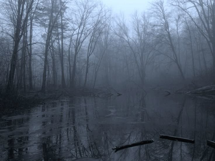 Create meme: lake in the fog, landscape , The gloomy swamp