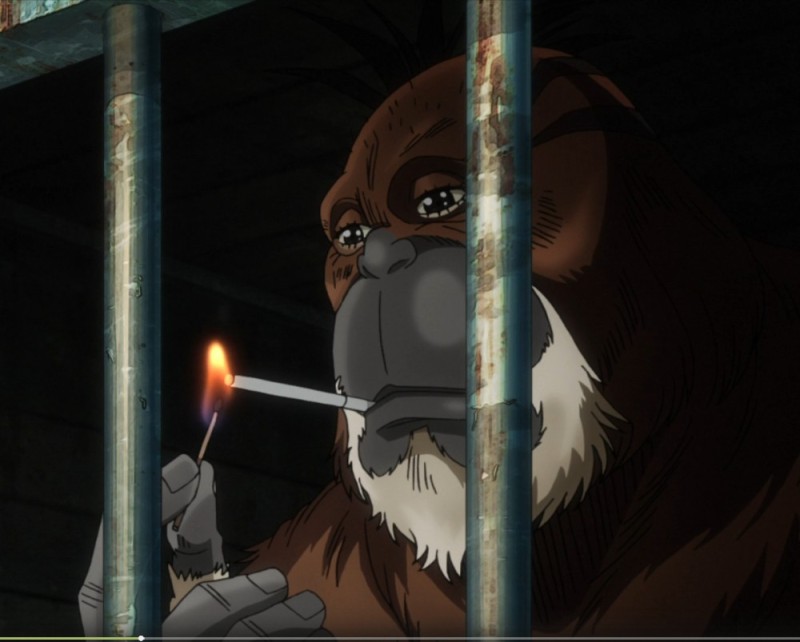 Create meme: Jojo the orangutan, Gorilla Joe Joe