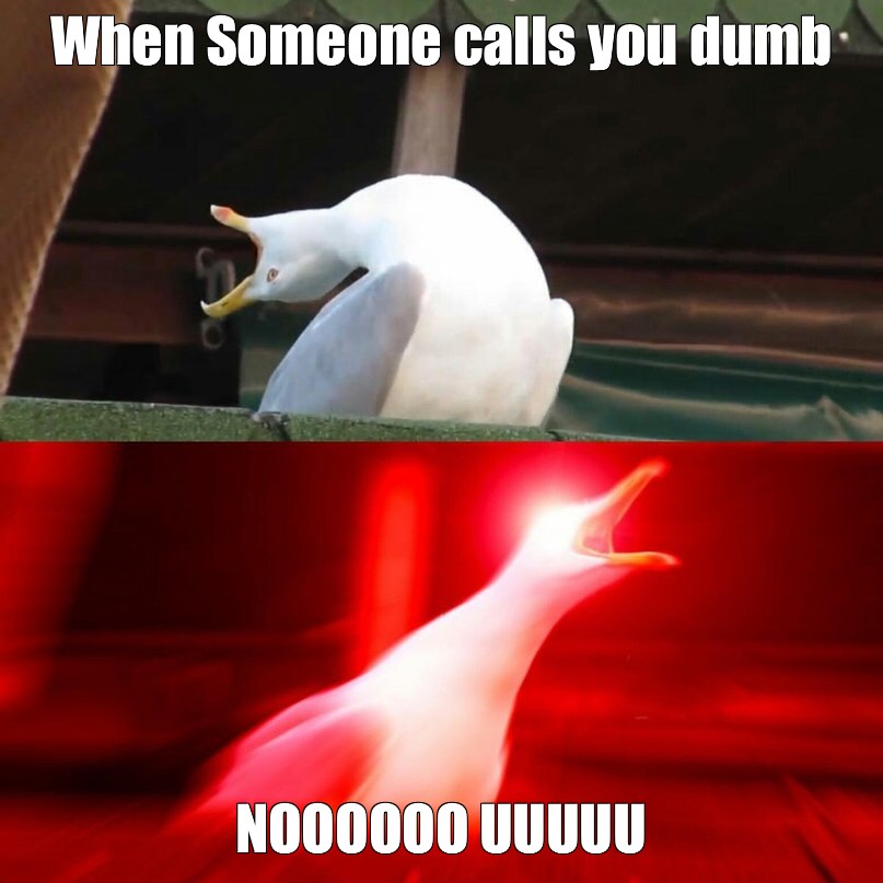 meme-when-someone-calls-you-dumb-noooooo-uuuuu-all-templates