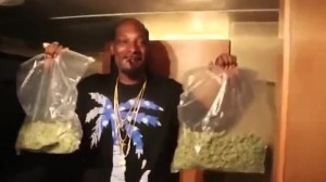 Create meme: Snoop Dogg with grass GIF, Snoop Dogg with grass, snoop dogg with packages