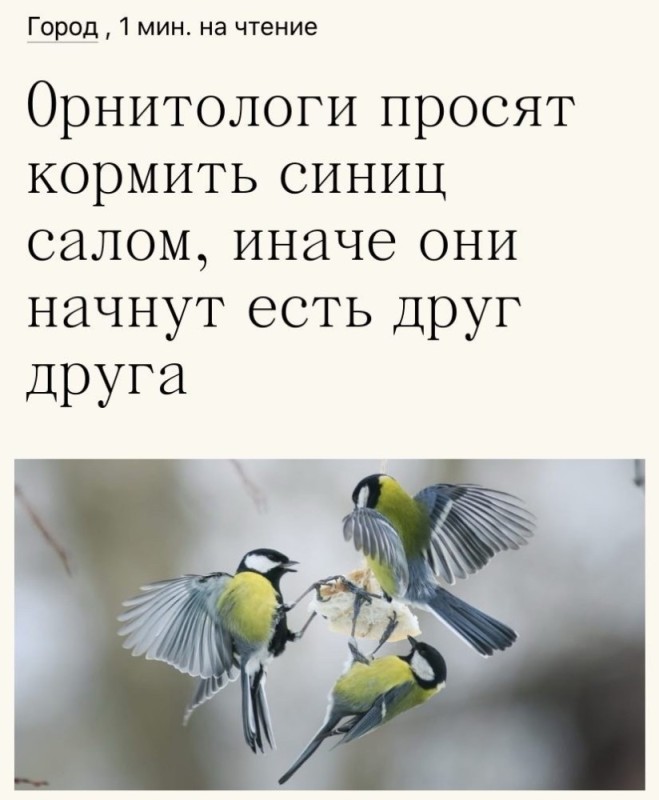 Create meme: tit bird, Ornithologist's Day, Ornithologist's Day in Russia