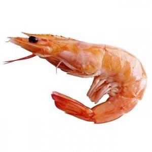 Create meme: king prawns, shrimp