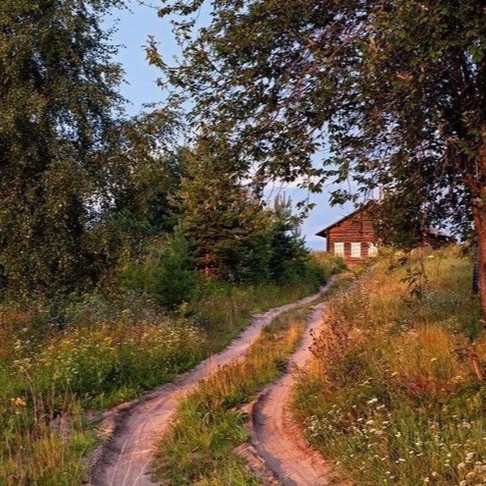 Создать мем: лето в деревне, пейзаж деревни, природа лето деревня