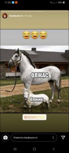 Create meme: horses and ponies, meme with a big horse and pony, horse & pony meme